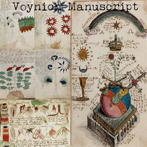 The Voynich Manuscript Was Perhaps The Work Of A Woman And Is Now