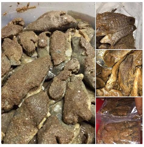 Kita akan fokuskan cara membuat pakan lele buatan sendiri. Food, Lifestyle, Education, Parenting, DIY | CaraResepi