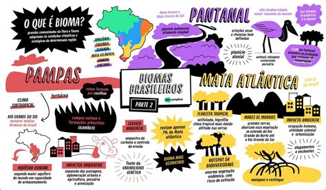 BIOMAS BRASILEIROS Parte 1 GEOGRAFIA Mapa Mental desenho vegetação