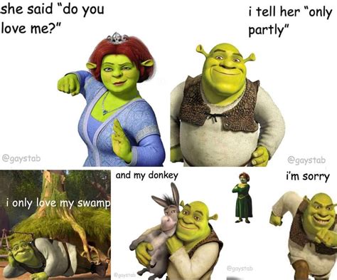 Shrek Speaks The Truth Funny Memes Really Funny Memes Shrek Memes