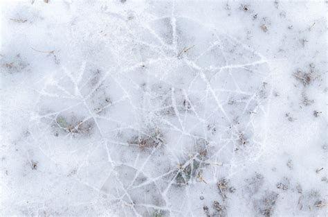 Free Images Water Nature Branch Cold Abstract Structure White