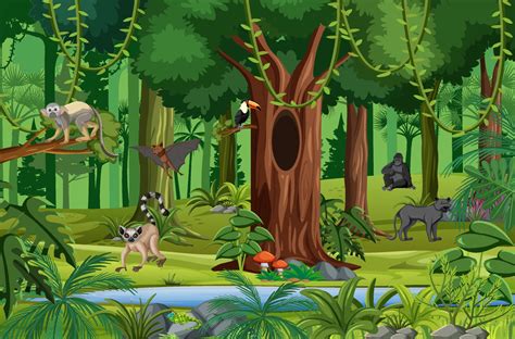 Tropical Rainforest Scene With Various Wild Animals 3112613 Vector Art
