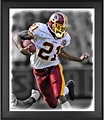 Sean Taylor Washington Redskins Framed 20" x 24" In The Zone Photograph