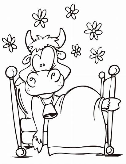 Coloring Cow Boy Fun Kuh Ausmalbilder Template