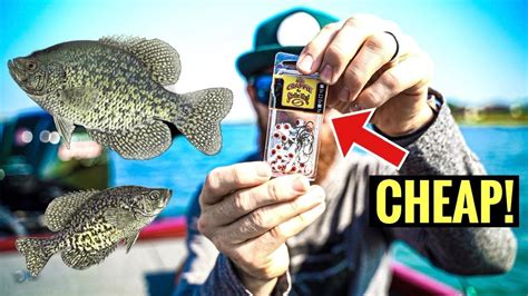Crappie Fishing With Minnows Crappie Rig Setup With A Jig Rigging