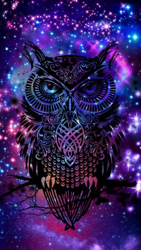 Galaxy Owl Wallpapers Top Free Galaxy Owl Backgrounds Wallpaperaccess
