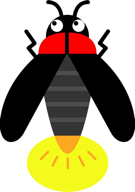 Firefly Clipart Net Winged Insects Png Download Full Size Clipart Images