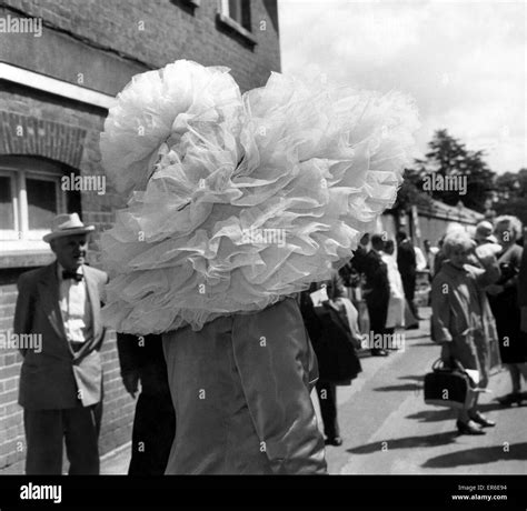 Ascot Photos Hi Res Stock Photography And Images Alamy