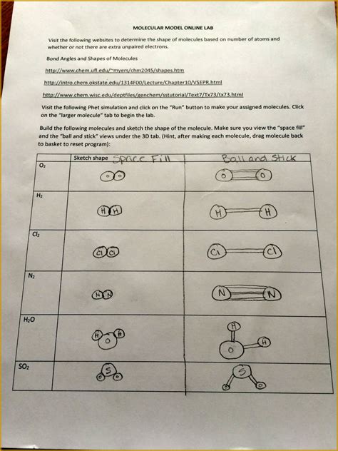 Then, use the pedigree to answer the questions in the lab report. 7 Build An atom Phet Lab Worksheet Answers | FabTemplatez