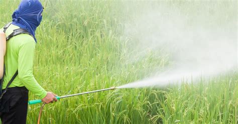 Food Safety Pesticide Poisoning