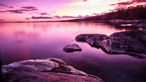 Purple Sunset Landscape 4k 8k Wallpapers Hd Wallpapers