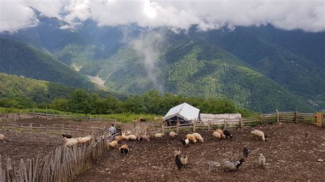 Hike from Jar and enjoy its rural surroundings | Azerbaijan Travel