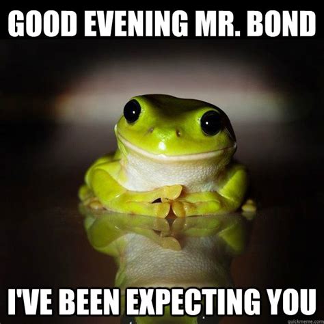 Good Evening Mr Bond Ive Been Expecting You Creepy Psychiatrist Frog Quickmeme