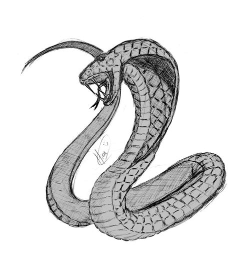 Realistic King Cobra Drawing Green Snake Giblrisbox Wallpaper