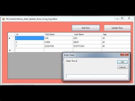 VB NET How To Add And Update A Row To DataGridView From InputBox In