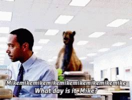 Mike Mike Mike Hump Day GIF Mike Mike Mike Hump Day What Day Is It Mike Discover Share GIFs