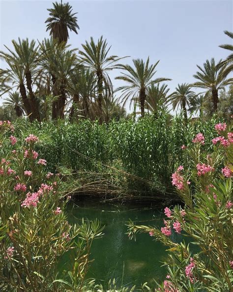 Travel To Morocco And Discover Beautiful Oasis In The South Western