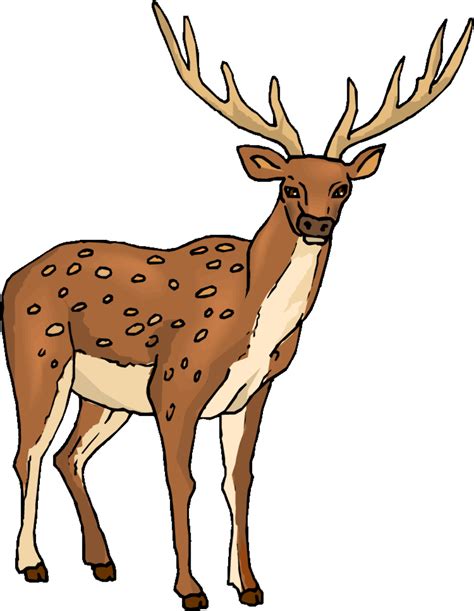 Download High Quality Deer Clipart Transparent Png Images Art Prim
