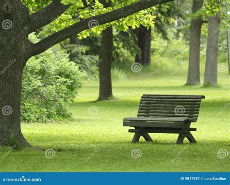Park Bench Stock Image Image Of Landscape Scene Grass 9817937