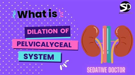 Pelvicalyceal System Dilatation Of Pelvicalyceal System Sedative