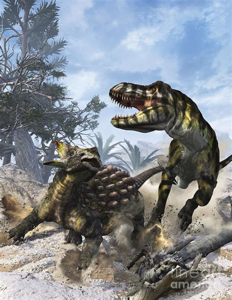Ankylosaurus Hits Tyrannosaurus Rex Digital Art By Kurt Miller Fine