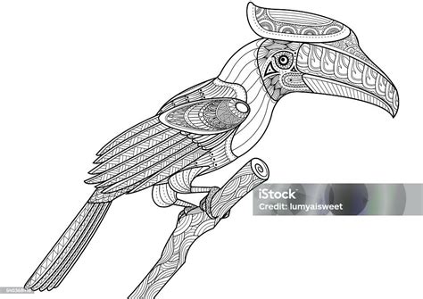 Burung Rangkong Pada Desain Pohon Untuk Buku Mewarnai Ilustrasi Stok