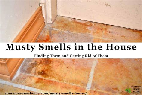 Maybe you would like to learn more about one of these? Musty Smell In Bedroom | online information