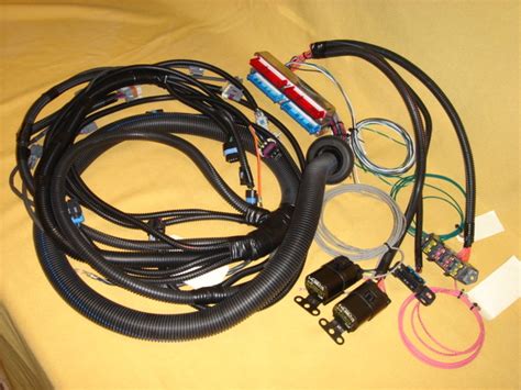 All black wires with a ground symbol are interconnected within the efi system harness. Lt1 Wiring Harness Stand Alone - Wiring Diagram Schemas