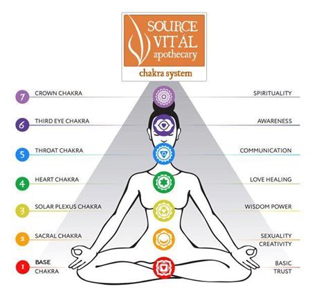 Balance And Support Energy Centers Chakras Are The Seven Energy Centers In The Body Positioned
