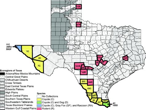Ecoregions Of Texas And Counties Of Collection Sites Map Of The 12