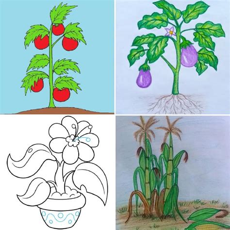 Easy Plant Drawings