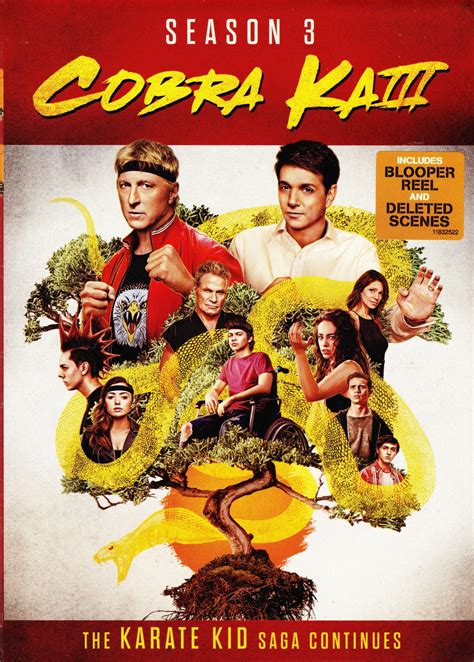 Dvd Review Cobra Kai Season 3 Nor