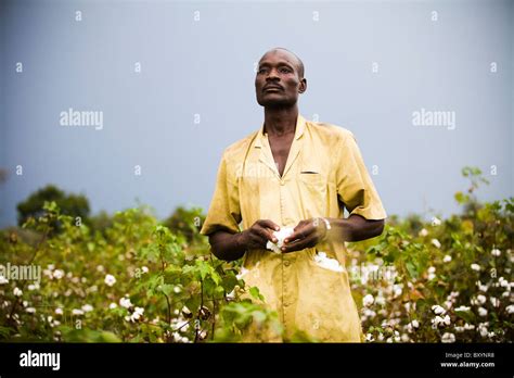 Farmer Africa Harvest Hi Res Stock Photography And Images Alamy