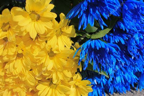 Yellow And Blue Flower Background — Stock Photo © Viktor4ik 8165098