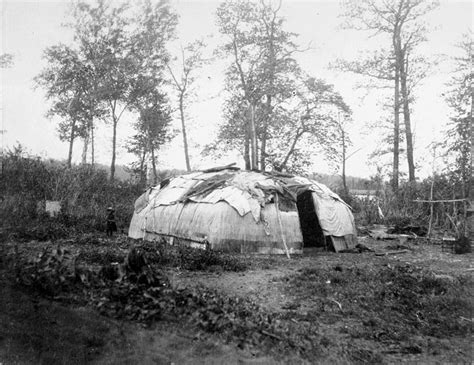 American Indians Birch Bark Wigwam Ojibwe 1900