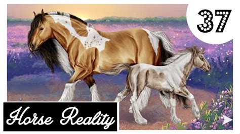 Horse Reality Hr Liebe Auf Den Ersten Blick 💕 Lets Play 37