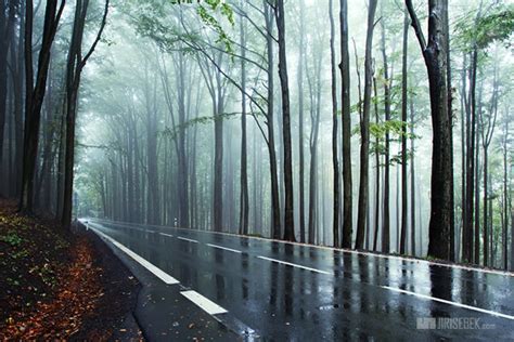Beautiful Rain And Fog Road Scene Landscape Photography Nature