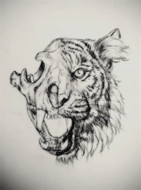 Tiger Half Skull Illustration By Littlefatrat On Deviantart