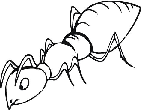 Coloring page fire ant with black hat vector illustration stock vector these pictures of this page are about:fire ant coloring page. Free Pictures Of Ants For Kids, Download Free Clip Art ...