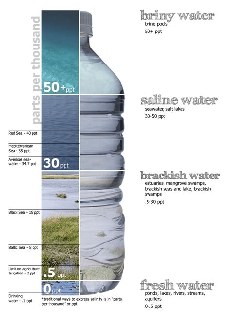 Salinity Of Ocean Water Upsc