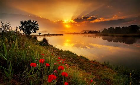 River Sunset River Wildflowers Reflection Slope Sky Beautiful