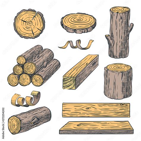 Wood Logs Trunk And Planks Vector Color Sketch Illustration Hand