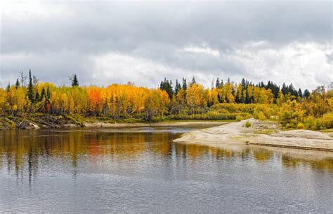 Autumn Noon In The Siberian Taiga View From The River Stock Image