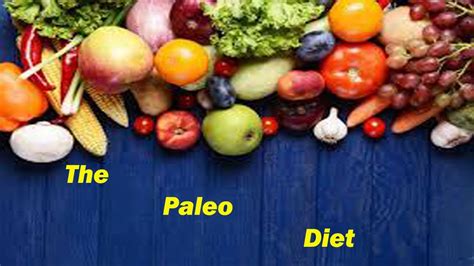 the paleo diet review youtube