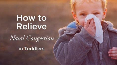 Congestion In Toddlers How To Relieve It Toddler Congestion Sinus