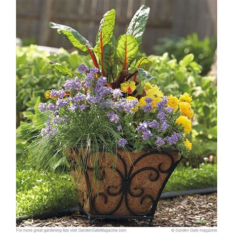 Spring Container Garden Containers Container Gardening Container