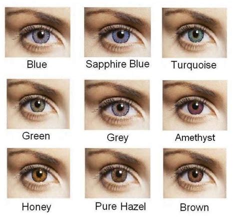 Impressive Colored Lenses For Brown Eyes Contact Lenses For Brown