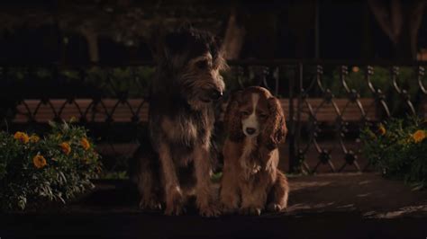Disneys New Live Action Lady And The Tramp Trailer Is Here With Even
