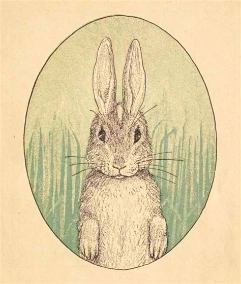 Bunny Illustration From Public Domain Childrens Book Free Vintage