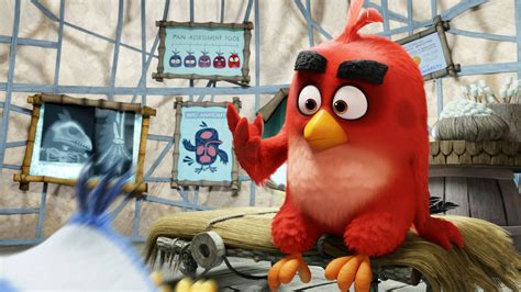 Download Red In The Angry Birds Movie Wallpaper Wallpapers Com